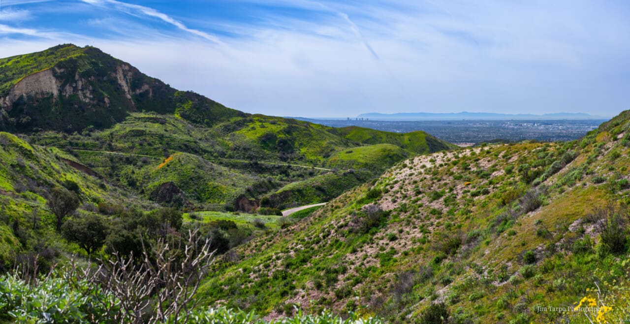 Loma Ridge Catalina View
