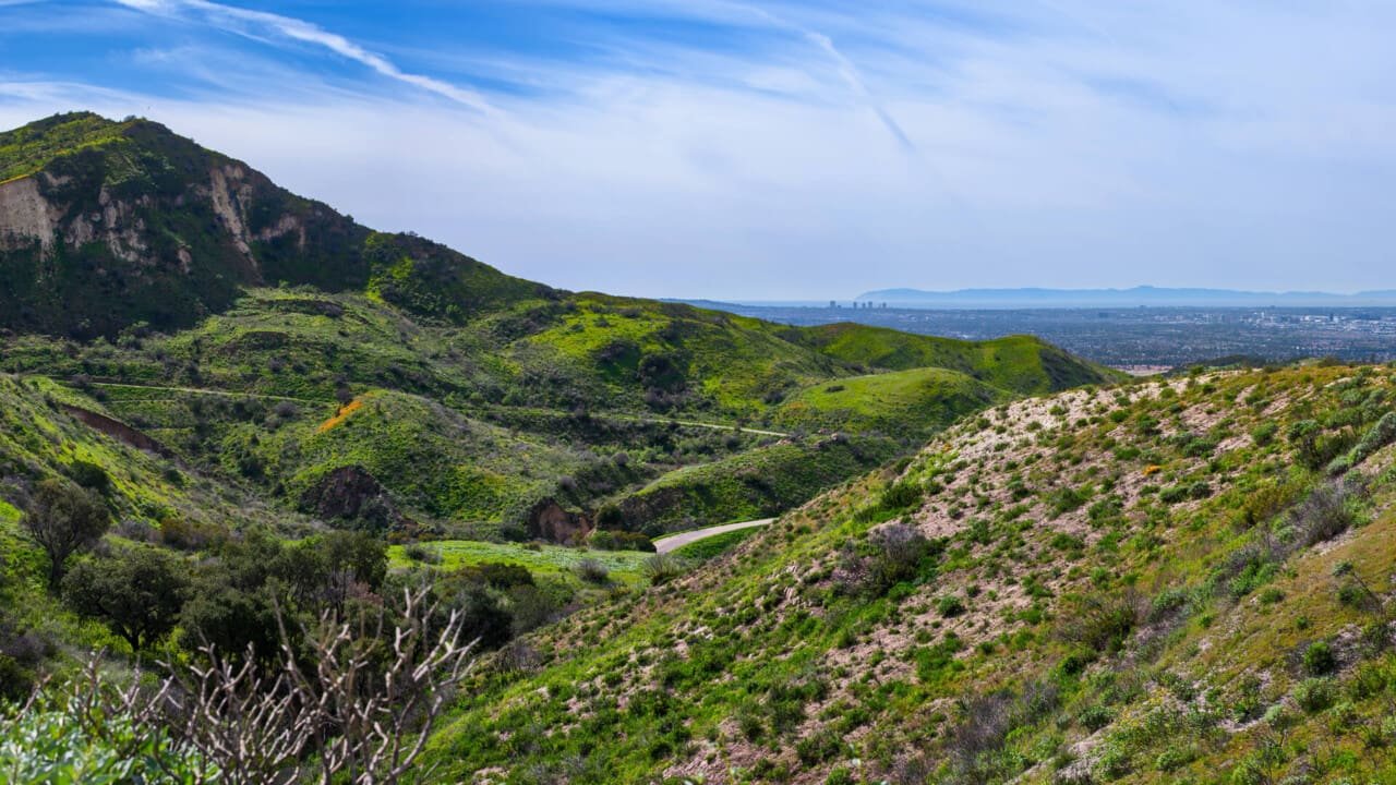 Loma Ridge Catalina View
