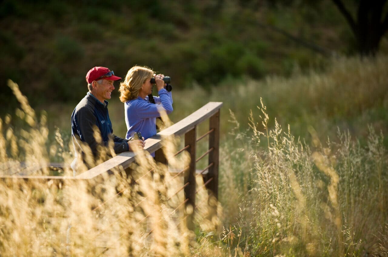 Limestone Canyon Nature Preserve Bird Watching