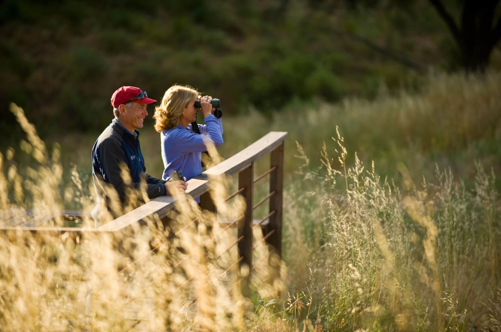 Limestone Canyon Nature Preserve Bird Watching