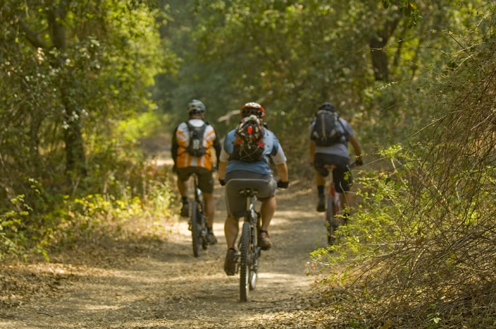 Mountain Biking in Limestone Canyon