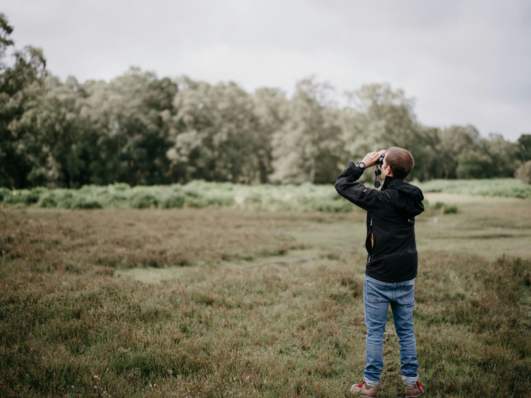 Wildlife + Nature Research