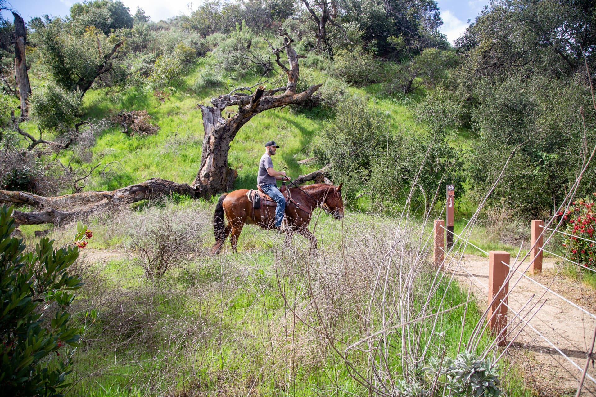 Black Star Canyon Wilderness Park
