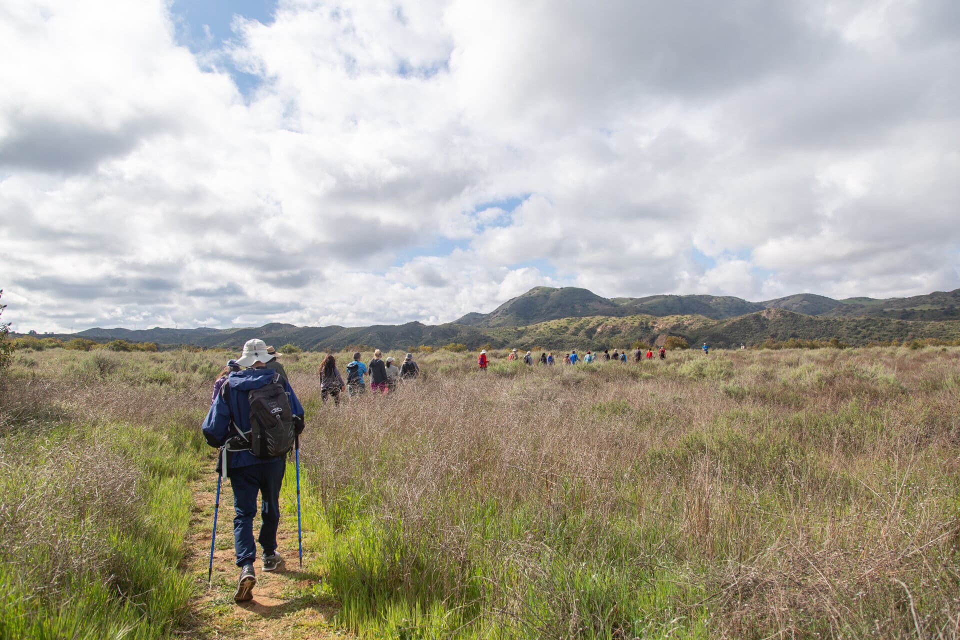 Black Star Guided Tours