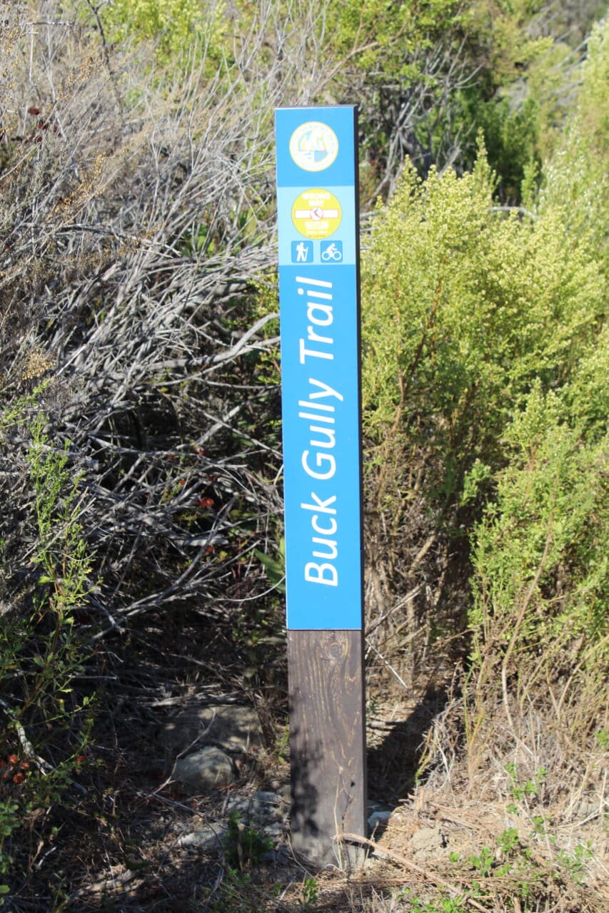 Buck Gully Trail Head