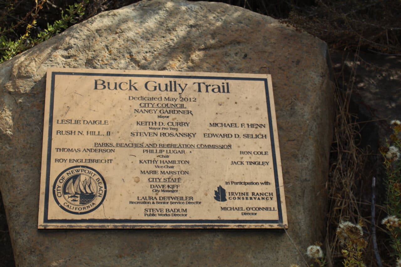 Buck Gully Trail