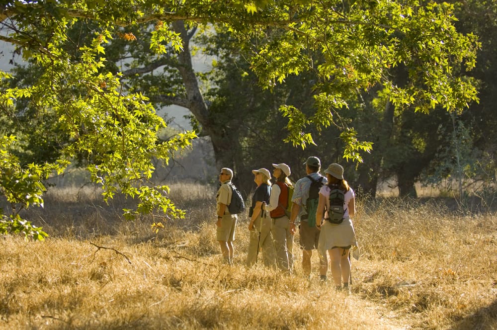 Managed Access Days Guided Tours