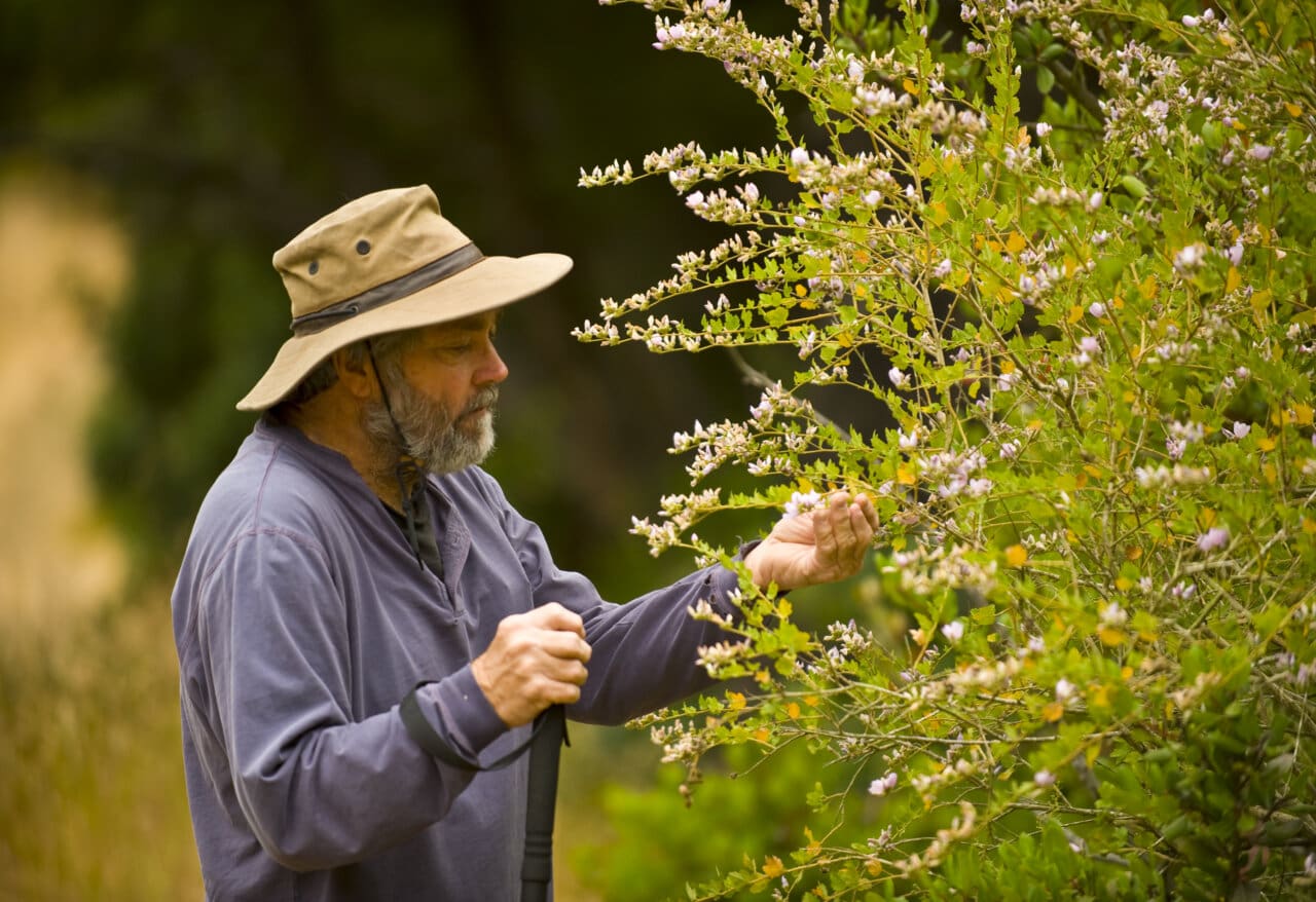 Wildlife and Nature Research