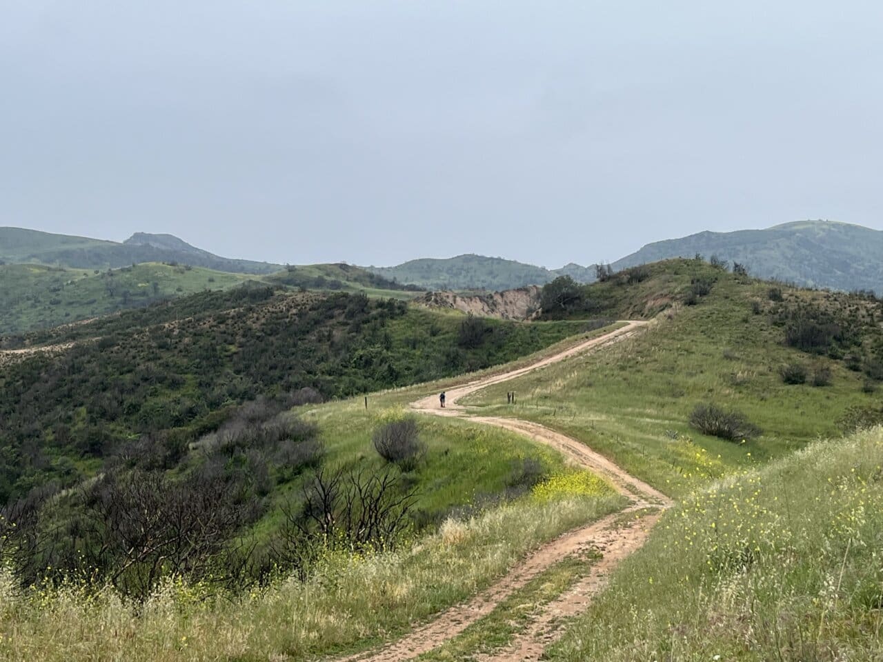 Limestone Canyon Nature Preserve