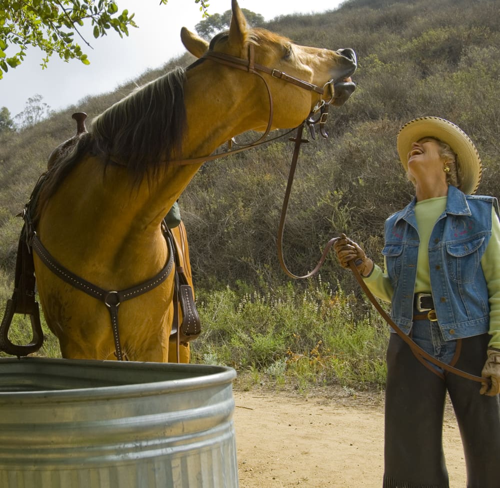 Equestrian Horse Smiling Lady