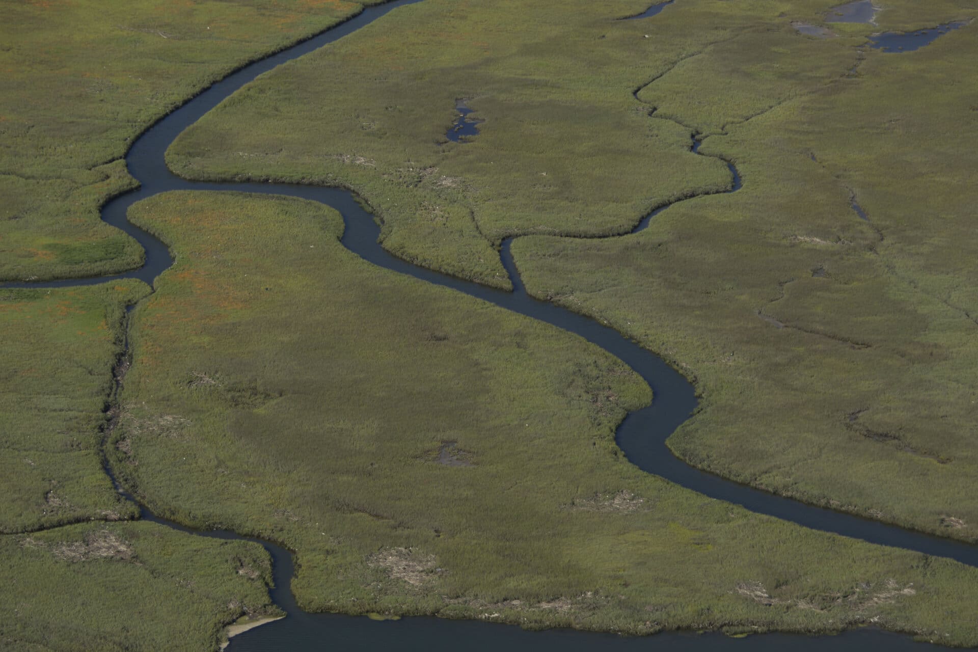 upper newport back bay