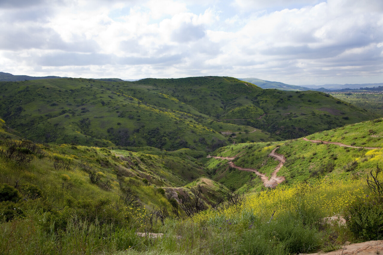 Santiago Oaks empty trails